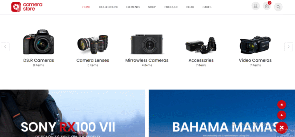 Build eCommerce Store (eCommerce Standard) - Image 3